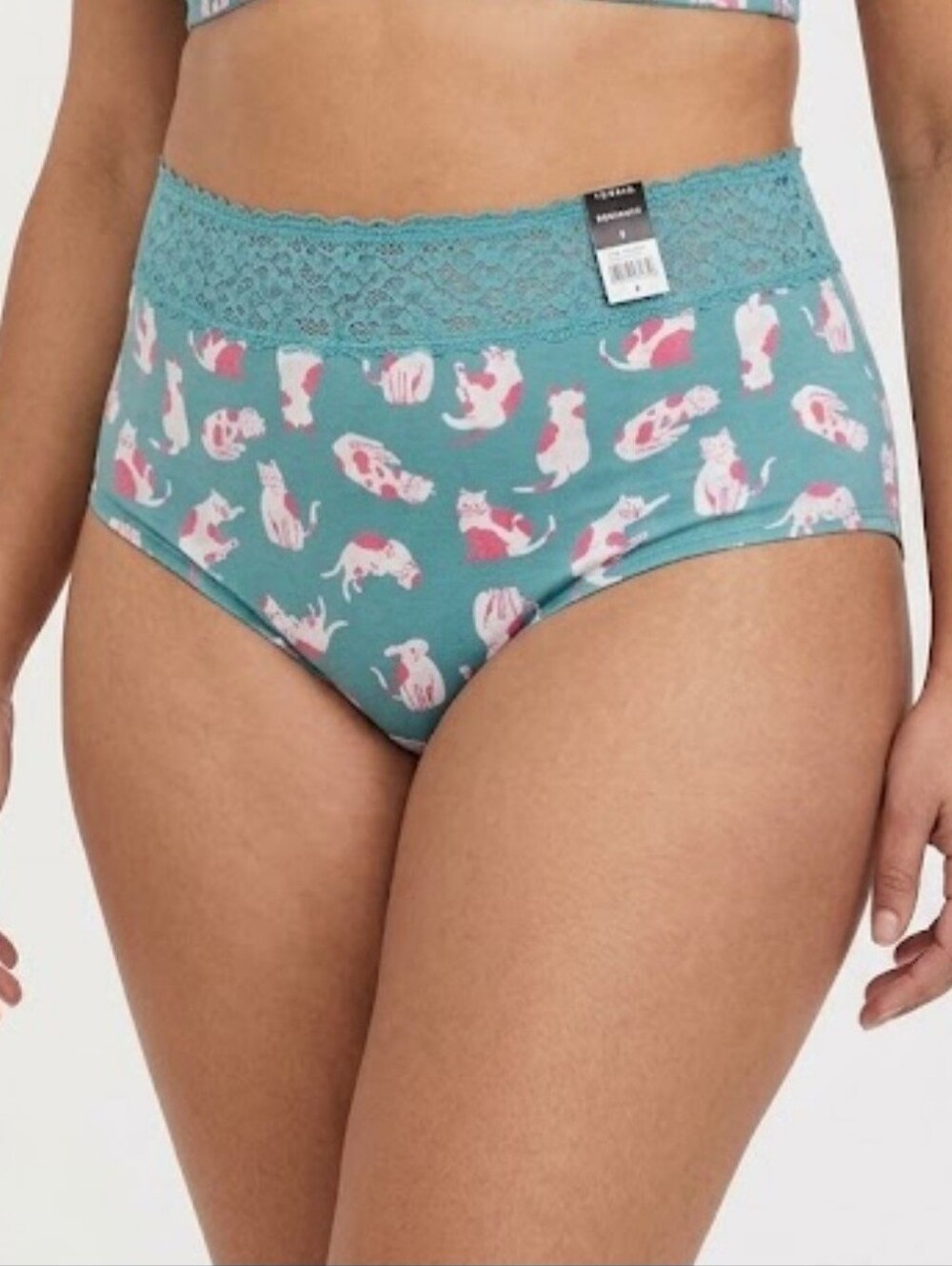 Torrid 2 Mid-Rise Lace Trim Boyshort Purr Kitties Panties